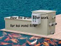 Koi fish pond rotary drum filter