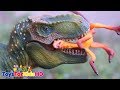 Dinosaurios para niños 🐊Aventuras de Dinosaurios de Juguetes #1 🐊La vida del Tyrannosaurus Rex