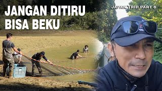 BERBAHAYA!!! PANEN KOI DI JEPANG NAIK BAK PIK-UP DI SUHU RENDAH KULIT BISA BEKU