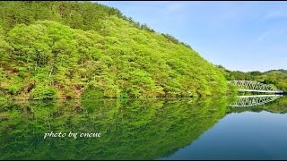 新緑を水面に映す生坂ダム湖・4K