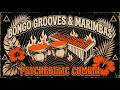 1970s Psychedelic Cumbia & Afro-Peruvian Chicha | 