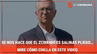 SE NOS HACE QUE EL ZƱRR4D0 es #SalinasPliego… Mire cómo chilla en este video