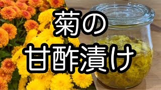 【菊の甘酢漬けの作り方】美肌・アンチエイジング・殺菌・解毒