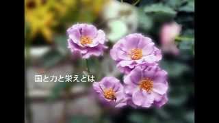 ♬　アメージンググレース＆主の祈り。バラの花と共に。The Lord's Prayer and Amazing Grace