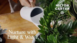 Hilton Carter for Target | Plant Care Tips