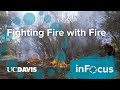 Fighting Fire With Fire: The Practice of Cultural Burning in Native American Communities