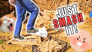 Stress Relief 101: Smashing Wooden Boxes! My DIY Rage Room!