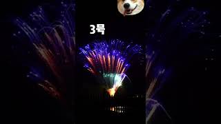 【烟花】【fireworks】四款蓝色烟花，你更喜欢哪一个 | Four blue fireworks, which one do you prefer