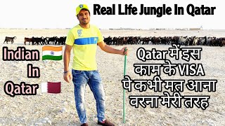 Qatar में बकरी चराने वाले कि Life कैसी है / Salary कितना मिलता है / Ye Hai Qatar ki jungle Life 🥺