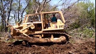 D7E 48A Removes Large Tree Part 3 of 3