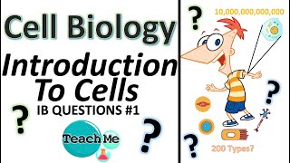 (1.1) - IB QUESTIONS (#1) -  Intro To Cells - (IB Biology) - TeachMe