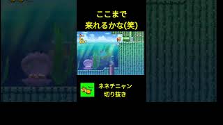 【ネネチニャン切り抜き】ここまで来れるかな（笑）#ネネチニャン#マリオ#mario #切り抜き