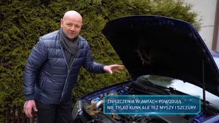 Zobacz jak zabezpieczyć auto przed gryzoniami! #101_Gadżetów