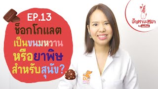 ช็อกโกแลต เป็นขนมหวานหรือยาพิษสำหรับสุนัข? | ตอบปัญหามะหมา EP.13