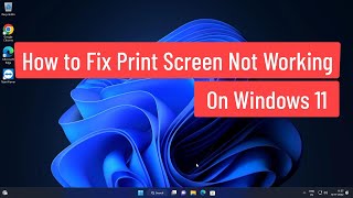 How to Fix Print Screen Not Working On Windows 11