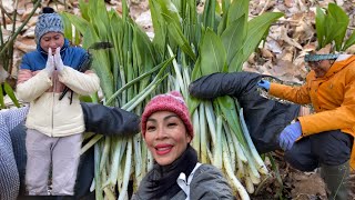 เข้าป่าเก็บกระเทียมป่ากับสามสาว # ทีมงานคุณภาพ # ม่วนๆๆ picking wild garlic.19/3/23.