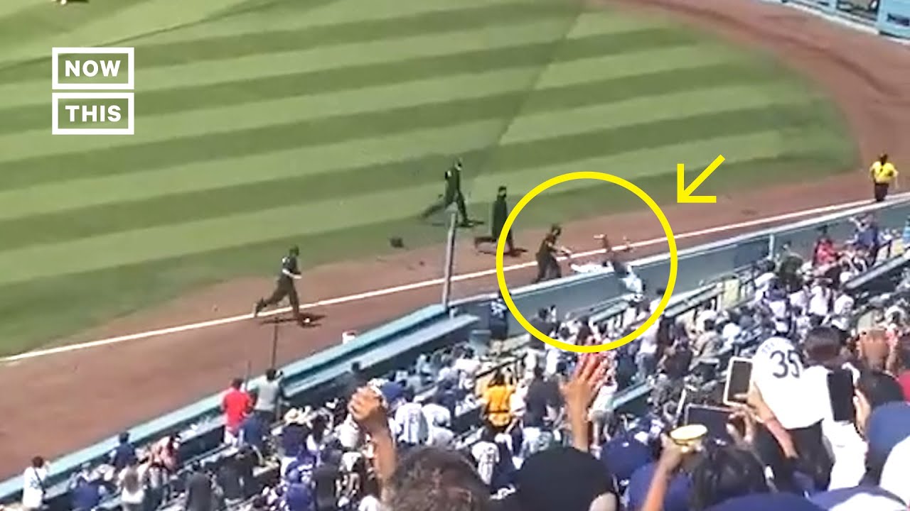 Dodgers Ball Girl Tackles Fan Who Ran Onto Field - YouTube