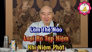 Làm Thế Nào Loại Bỏ Tạp Niệm Khi Niệm Phật?_ Hoà Thượng Tịnh Không Giảng| Kênh Thích Nhuận Hoá