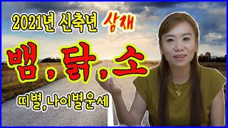 2021 신축년 나가는삼재 뱀띠,닭띠,소띠, 나이별 요점정리~