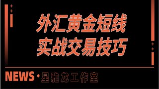 黄金分割线正确划线取点技巧【外汇黄金相对强弱线指标分析法】进阶必修之空间预测