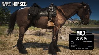 8 Incredible Horses Arthur Steal from the Developers Early | Red Dead Redemption 2