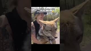 Man saves coyote and gets unexpected surprise