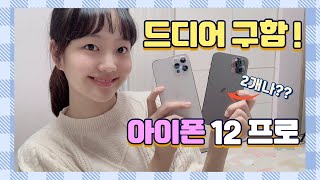 [아이폰 언박싱] 드디어 나도 아이폰📱12 pro 2개나 구했다!! 실버랑 그래파이트 비교