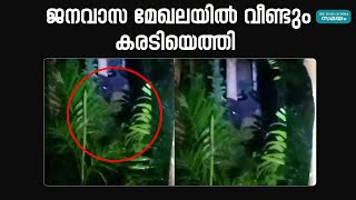 Nilambur Bear: പൂക്കോട്ടുംപാടത്ത് വീണ്ടും കരടി ശല്യം