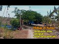 Kehidupan jauh keramaian Kampung di lahan Kering hutan gundul tak kenal suasana kota.