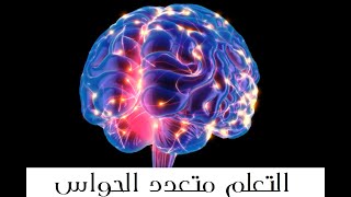 التعلم متعدد الحواس(Multi sensory learning)