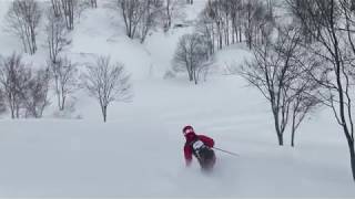 寒の戻りその2　鍋倉山