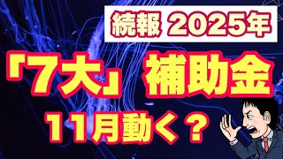 【11月末動く？】2025年「事業再構築・ものづくり・持続化・IT導入・事業承継引継ぎ・省力化・大規模成長投資」7大補助金の行方は？どうなる？