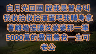 白月光回國 說我是替身叫我收拾收拾滾蛋吧我轉身拿著離婚協議找婆婆那一筆5000萬的費用養我一生可老公