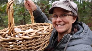 FREE FOOD is EVERYWHERE!!  Fall Foraging is JUST Beginning!