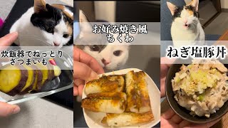 嫁料理5品とたまに猫③ 5 dishes for my wife and sometimes a cat③