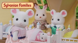 Babysitting Trouble! 😓 Stop Motion | Sylvanian Families