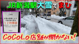 2025年2月8日今シーズン最強のドカ雪（一晩で44㎝）でJR新潟駅大パニック！CoCoLo店舗が開かない、緊急策で早期閉店！