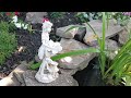 🌸 2023 gorgeous garden tour🌸 amazing backyard decor🌸decorate with me for summer❤️