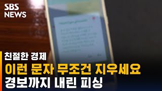 여기서 문자 오면 무조건 지우세요…경보까지 내린 피싱 / SBS / 친절한 경제