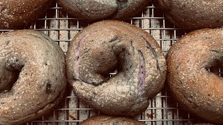 Blueberry Bagel | Made from scratch!