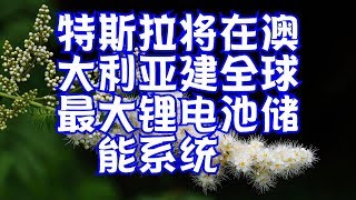 特斯拉将在澳大利亚建全球最大锂电池储能系统