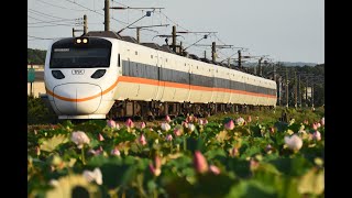 太魯閣重返海線載客！5134次端午節加班車，荷花池通過