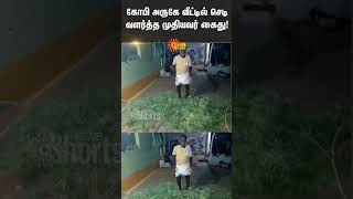 Gobichettipalayam Old man Arrested | Plant Farming | #sunshorts