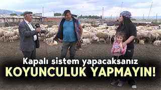 Kapalı Sistem Yapacaksanız Koyunculuk Yapmayın! - Bir Hayvancılık Hikayesi