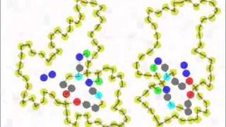 Self-reproducing cells in a 2D artificial chemistry