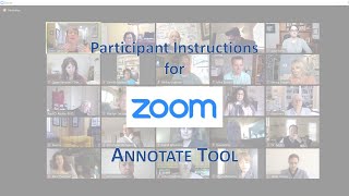 Zoom Annotate Tool - participant instructions