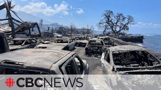 Death toll rises to 55 in Hawaii wildfire catastrophe