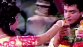 Shammi Kapoor likes Sadhana Shivdasani - Rajkumar, Scene 2/11