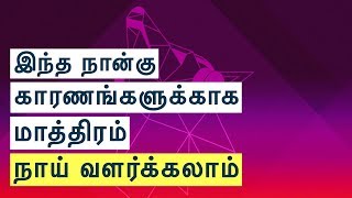 இந்த நான்கு காரணங்களுக்காக மாத்திரம் நாய் வளர்க்கலாம் | Tamil Bayan