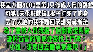 我是方圓8000里第1只修成人形的錦鯉，可第1天化形就被1棍子打死了肉身，丟了大臉的我不敢回家想另尋辦法，為了重修人性我選了個倒霉蛋附身，誰料首富的管家連夜找上門來：｢小姐，求您回去繼承家業吧！｣